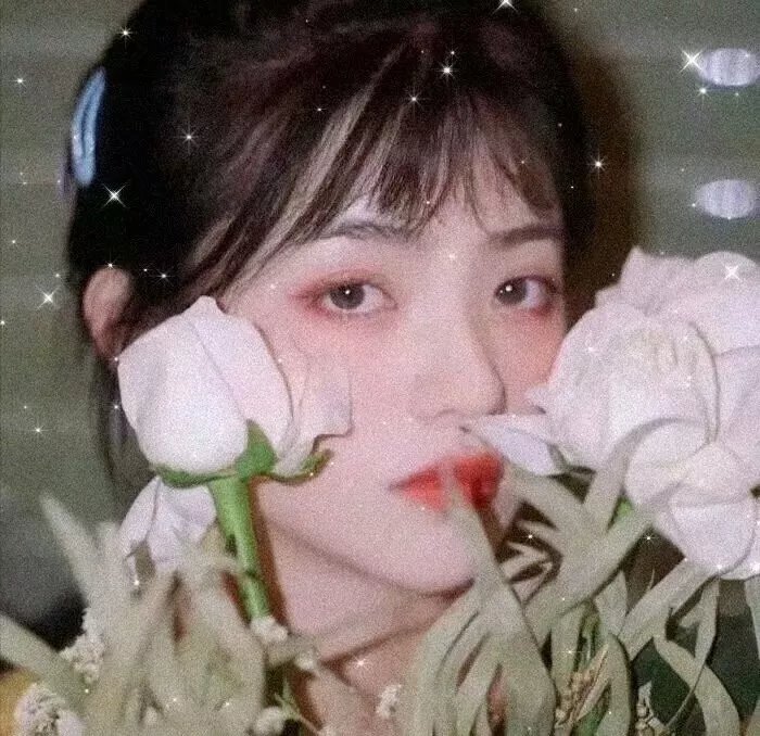 嘉娜海报