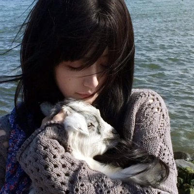 驯鹿总动员海报